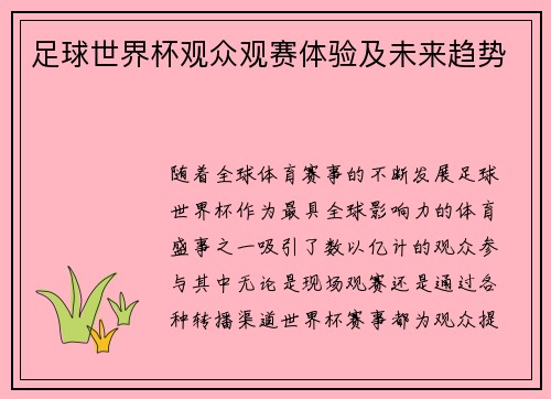 足球世界杯观众观赛体验及未来趋势
