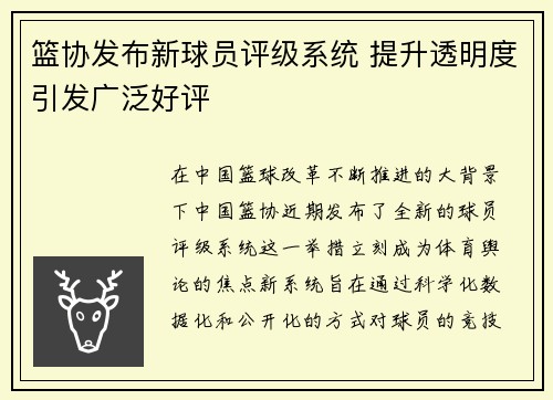 篮协发布新球员评级系统 提升透明度引发广泛好评